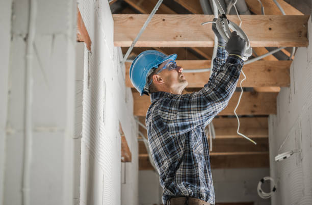 Best Electrical Repair Services  in Edmore, MI