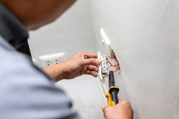 Best 24-Hour Electrician  in Edmore, MI